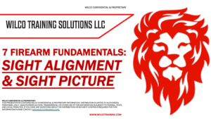 7 Firearm Fundamentals: SIGHT ALIGNMENT & SIGHT PICTURE